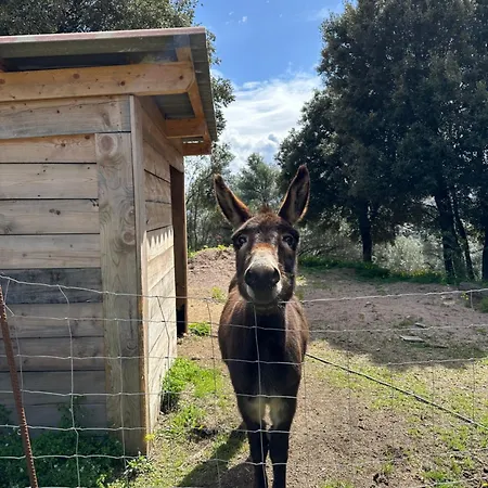 Σπίτι διακοπών N1 Maison T2 Climatise *