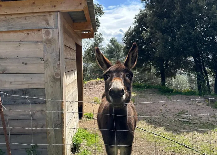 בית נופש N1 Maison T2 Climatise *